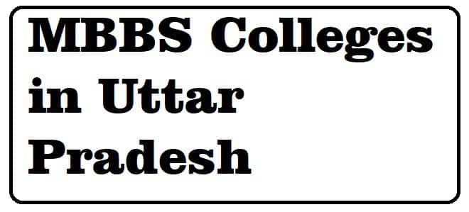 MBBS counselling process in Uttar Pradesh for medical college admissions, expert guidance, and expert admission support.
